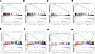 Characterization of the Immune Cell Infiltration Landscape Uncovers Prognostic and Immunogenic Characteristics in Lung Adenocarcinoma